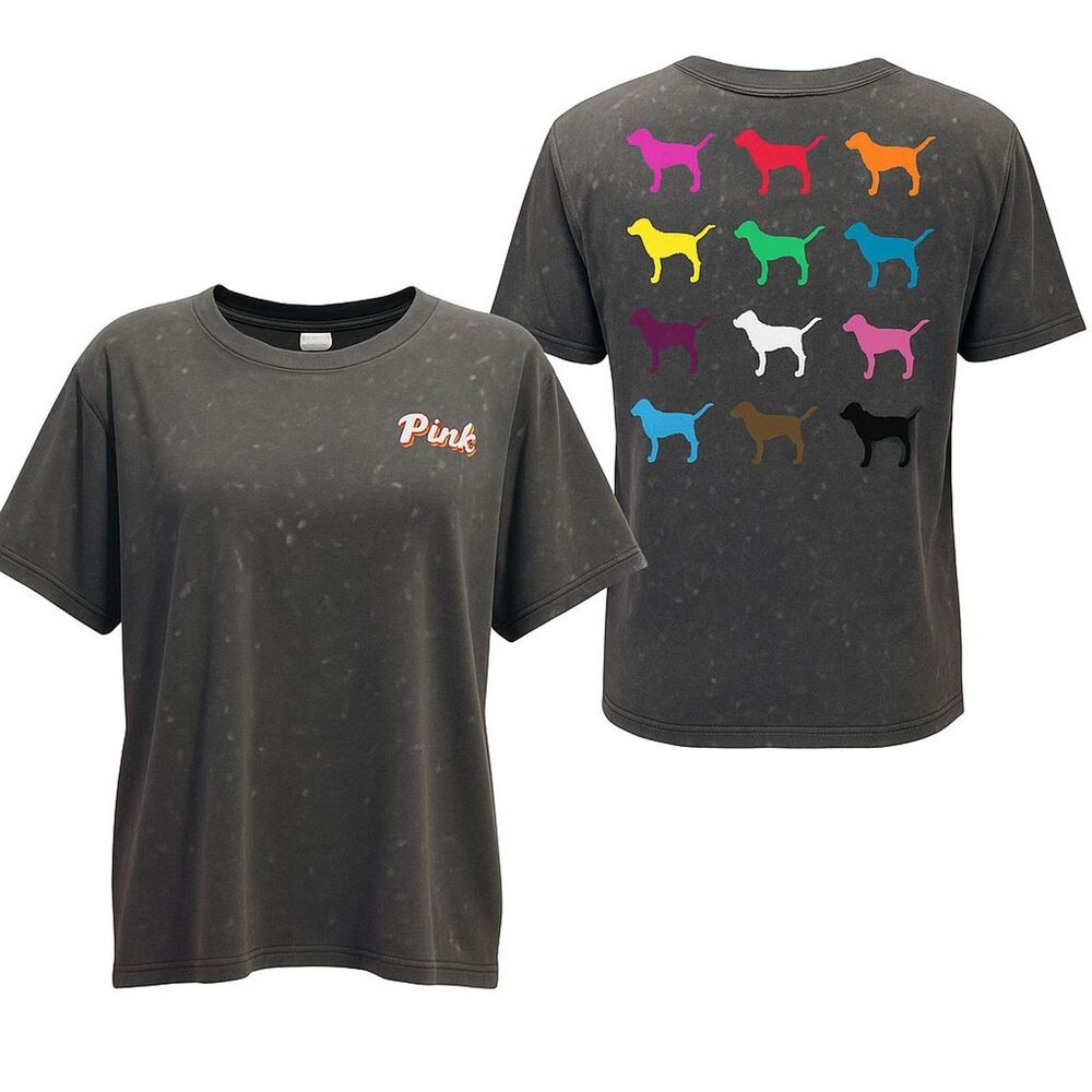 Victoria’s Secret PINK Rainbow Dog Graphic Tee Shirt Charcoal Gray Medium